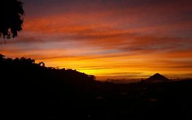 Bajawa-Roo Hotel